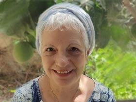 דר חיה רז-פסיכותרפיסטית אדלריאנית, NLP בטראומה - מטפלים בהתמודדות עם משברי חיים בשומרון