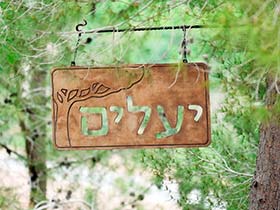 יעלים עין יעל-מרכז טיפול רגשי בגישת טבע-תרפיה - טיפול בהבעה ויצירה  ירושלים