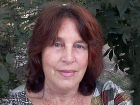 נטע פלג-פסיכותרפיסטית, מטפלת ומדריכה בביבליותרפיה - טיפול במשחק  